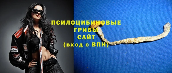 стаф Абдулино